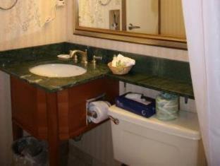 Adria And Conference Center 3* Nova York